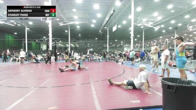 162 lbs Rr Rnd 5 - Anthony Alverez, Council Rock South - HSAm vs Charley Paige, Mifflinburg - HSAm