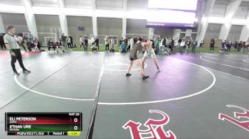 190 lbs Semifinal - Ethan Ure, Payson vs Eli Peterson, Davis