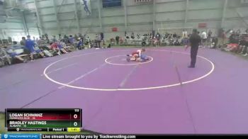 113 lbs Semis & 1st Wrestleback (8 Team) - Logan Schwanz, Minnesota Blue vs Bradley Hastings, Alabama