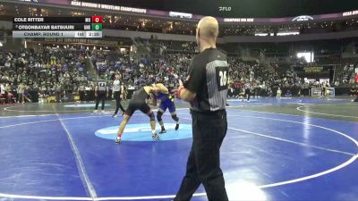 174 lbs Champ. Round 1 - Otgonbayar Batsuuri, Neb.-Kearney vs Cole Ritter, Maryville (MO)