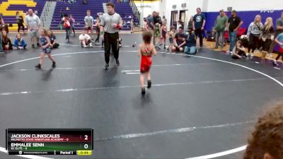 45 lbs Round 5 (6 Team) - Patrick Clinkscales, Palmetto State Wrestling Academy vs Luciana Patacca, KC Elite