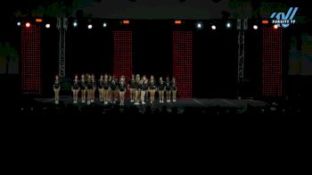 GymTyme Illinois - Snap [2025 L4 Junior Day 1] 2025 ASC King of the Jungle Schaumburg Showdown