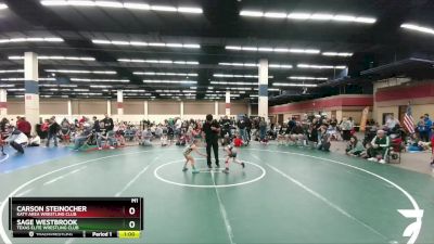 41-42 lbs Round 2 - Carson Steinocher, Katy Area Wrestling Club vs Sage Westbrook, Texas Elite Wrestling Club