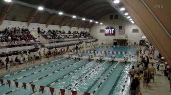 Replay: Swimming - 2025 Trinity (CT) vs Springfield | Feb 1 @ 11 AM