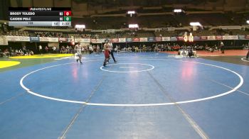 133 lbs Quarters & Wb (16 Team) - Caiden Pelc, Newberry College vs Brody Toledo, MSU Moorhead