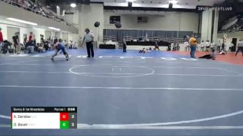 95 lbs Semis & 1st Wrestleback (8 Team) - Andrew Sandau, NLS (New London/Spicer) vs David Bauer, Hastings