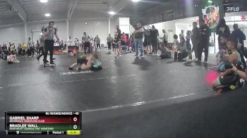 45 lbs Round 3 - Gabriel Sharp, Reverence Wrestling Club vs Bradlee Wall, Northeast Georgia Mat Monstars