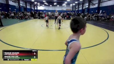 53 lbs Champ. Round 2 - Teague Vaughn, Hawk Wrestling Club vs Mason Hallum, All In Wrestling Academy