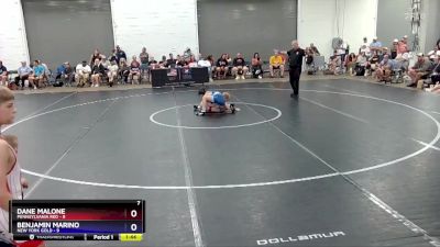 83 lbs Semis & 3rd Wb (16 Team) - Dane Malone, Pennsylvania Red vs Benjamin Marino, New York Gold