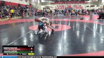 90 lbs Cons. Round 2 - Colton Carter, Pinnacle Wrestling Club vs Bodyn Molitor, Pursuit Wrestling Minnesota