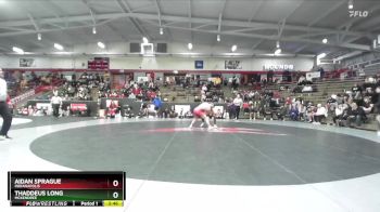 133 lbs 3rd Place Match - Thaddeus Long, McKendree vs Aidan Sprague, Indianapolis