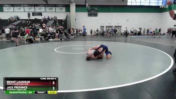 144 lbs Cons. Round 6 - Brant Laughlin, Seneca Wrestling Club vs Jace Province, Standfast Wrestling