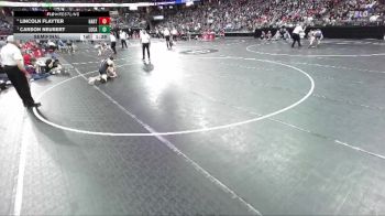 D1-126 lbs Semifinal - Carson Neubert, Luxemburg-Casco vs Lincoln Flayter, Hartford Union