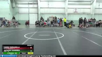 100 lbs Round 7 (8 Team) - Caden Yarnarella, PA Alliance Blue vs Anthony Diandrea, Edge