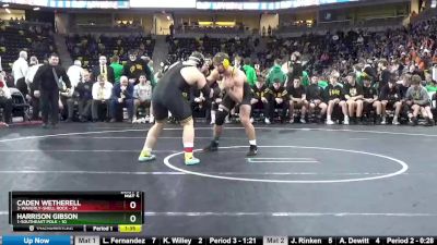 220 lbs Finals (1st & 3rd) - Harrison Gibson, 1-Southeast Polk vs Caden Wetherell, 3-Waverly-Shell Rock