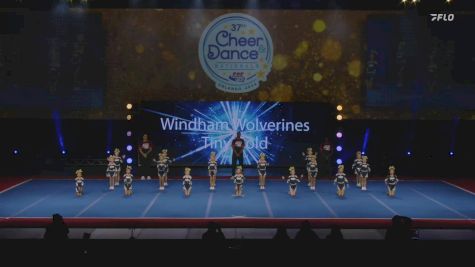 Windham Wolverines Tiny Gold - New England [2024 Granite State Pop Warner Wednesday] 2024 Pop Warner National Cheer & Dance Championship