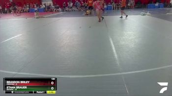 138 lbs Round 2 (4 Team) - Brandon Briley, Creston vs Ethan Brauer, Batavia