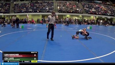 60 lbs Quarterfinal - Liam Hamacher, Pursuit Wrestling Minnesota vs Colt Gass, Moen Wrestling Academy