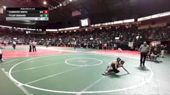 74 lbs Quarterfinal - Tyler Demand, LAC3 vs Cameron Smith, BTWA