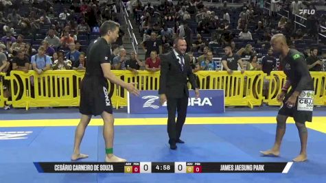 James Jaesung Park vs Cesário Carneiro De Souza 2025 Pan IBJJF Jiu-Jitsu No-Gi Championship