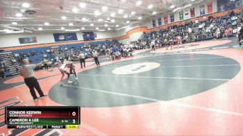 125 lbs 7th Place Match - Cameron A Lee, Millikin University vs Connor Kerwin, Wilkes University