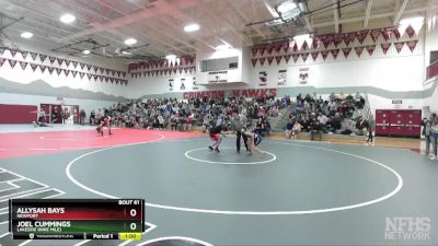 105 lbs Quarterfinal - Allysah Bays, Newport vs Joel Cummings, Lakeside (Nine Mile)