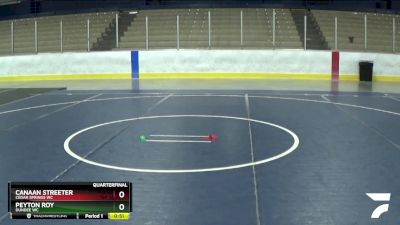 52 lbs Quarterfinal - Canaan Streeter, Cedar Springs WC vs Peyton Roy, Dundee WC