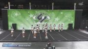 Cheer Fusion Elite - Senior Electric [2025 L3 Senior Day 1] 2025 CSG Indy Challenge