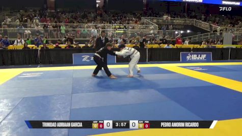 Pedro Amorim Ricardo vs Trinidad Adriaan Garcia 2025 Pan Kids Jiu-Jitsu IBJJF Championship
