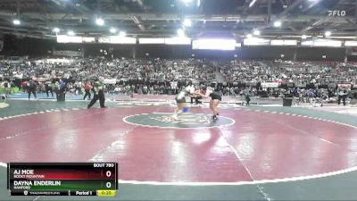 152 lbs Cons. Round 5 - AJ Moe, Rocky Mountain vs Dayna Enderlin, Hanford