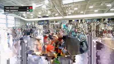 144 lbs Champ. Round 3 - Trey Bradshaw, Delta vs Kael Theobald, Payson