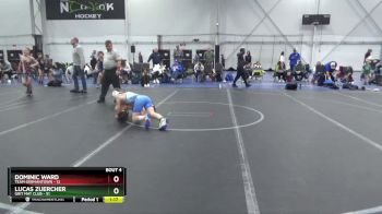 96 lbs Round 2 (4 Team) - Lucas Zuercher, Grit Mat Club vs Dominic Ward, Team Germantown