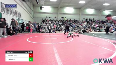 43 lbs Consi Of 4 - Jett Hamm, Pocola Youth Wrestling vs Colton Cross, Brushy Wrestling Club