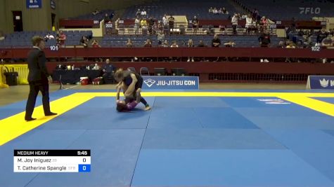 Michelle Joy Iniguez vs Teresa Catherine Spangler 2024 Pan IBJJF Jiu-Jitsu No-Gi Championship