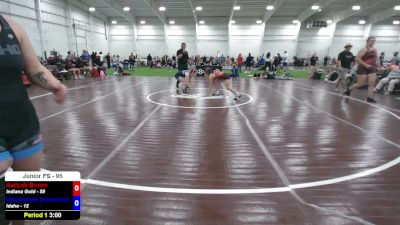 95 lbs Aaliyah Brown, Indiana Gold vs Mackenzee Donenfeld, Idaho