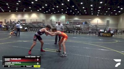 107 lbs Semifinal - Gage Turnblom, Fenton vs Caden Woodall, Untouchables