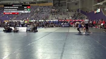 165 lbs Round 1 (16 Team) - Carter Martinson, Wartburg vs Ryan Muslimovic, Luther