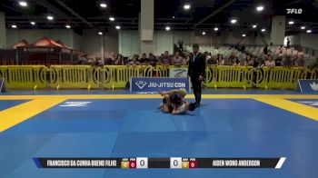 Francisco Da Cunha Bueno Filho vs Aiden Wong Anderson 2025 American National IBJJF Jiu-Jitsu Open Championship