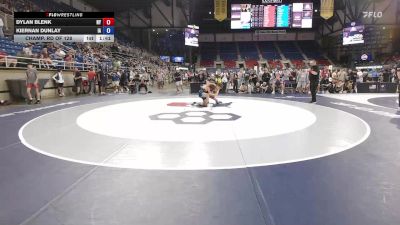 113 lbs Champ. Rd Of 128 - Dylan Blenk, NY vs Kiernan Dunlay, IA