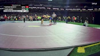 D1-165 lbs Champ. Round 1 - Jace Acker, Hastings vs Nathan Murphy, Clinton Township Chippewa Valley