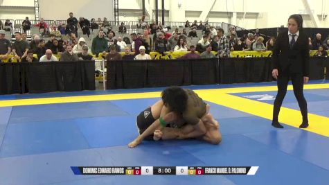 Franco Manuel D. Palomino vs Dominic Edward Ramos 2024 World IBJJF Jiu-Jitsu No-Gi Championship