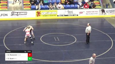 157 lbs Round Of 64 - Gavin Roessner, Coudersport vs Skylar Gush, Belle Vernon