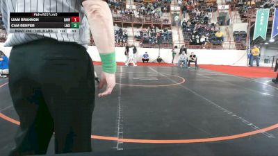 105_B lbs Round Of 32 - Liam Brannon, Danville vs Cam Renfer, Lake Lehman