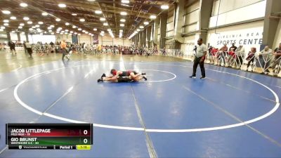 96 lbs Rd# 7- 10:45am Saturday Final Pool - Gio Brunst, Westshore D.S vs Jacob Littlepage, Mile High