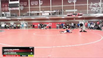 138 lbs Cons. Semi - Jaidyn Hirschi, Sugar Salem High School vs Lochlynn Harned, Rigby High School