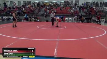 125 lbs Semifinal - Sean Cain, St. Vincent College vs Brandon Dami, Washington & Jefferson