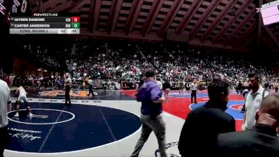 113-6A Cons. Round 3 - Carter Anderson, Richmond Hill HS vs Jayden Ramone, East Coweta HS