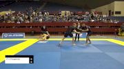 Phillip V. Fitzpatrick vs Michael Alan Wilkins 2024 Pan IBJJF Jiu-Jitsu No-Gi Championship