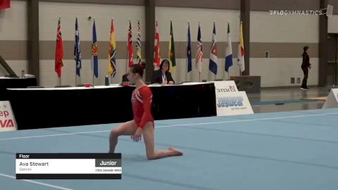 Ava Stewart - Floor, Gemini