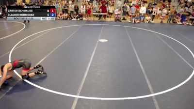 132 lbs Cons. Round 3 - Carter Schmauss, IA vs Claudio Rodriguez, IL
